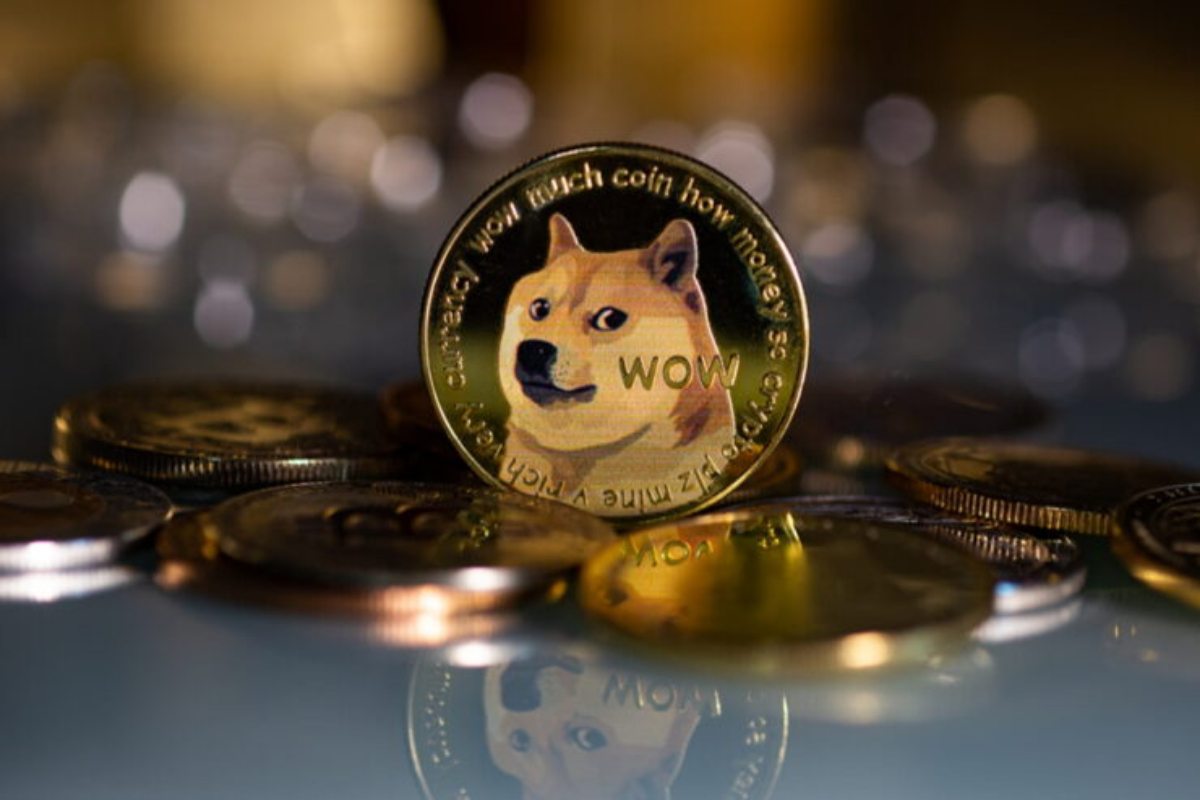 Doge Price