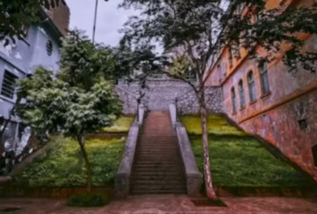 Optical Illusion: You need to have keen eyes to spot the crow