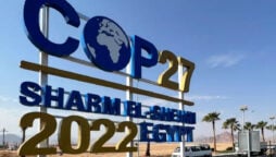 cop27 key takeaways