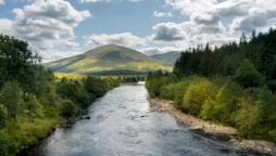 Optical Illusion: Is there a crocodile in this river?