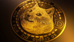 Doge Price