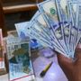 Rupee continues downward momentum against dollar