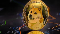 Doge Price