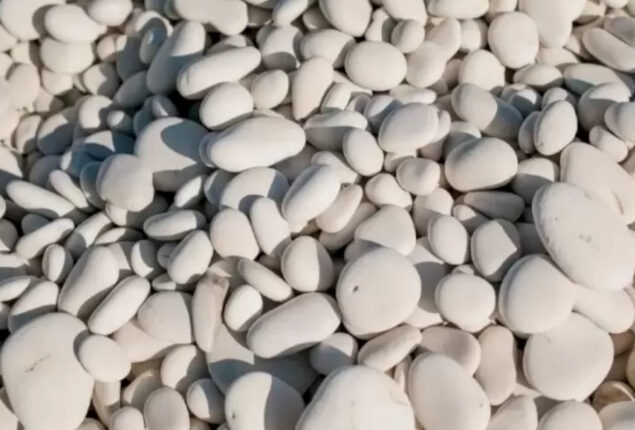 Spot The Egg
