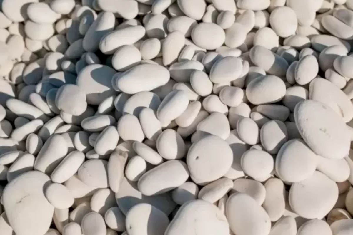 Spot The Egg
