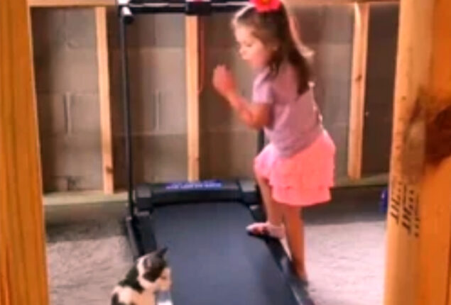 Watch viral: Young girl teaching her pet cat how to use treadmill