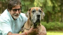 Amitabh Bachchan shares poignant message as his pet dog died
