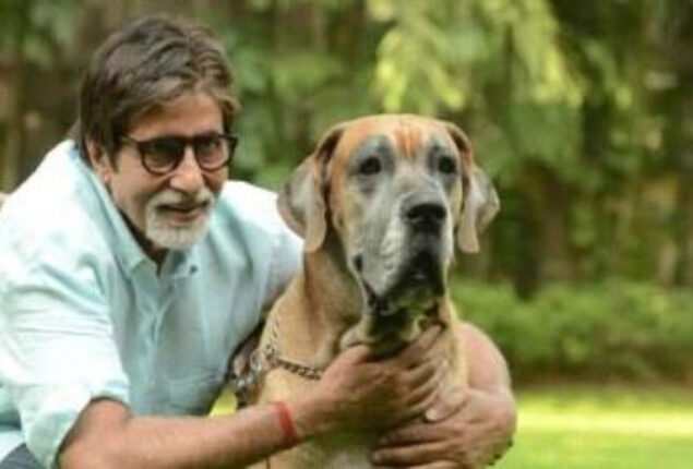 Amitabh Bachchan shares poignant message as his pet dog died