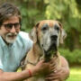 Amitabh Bachchan shares poignant message as his pet dog died
