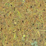 Optical Illusion: Find a needle in 9 seconds, if you have hawk eyes