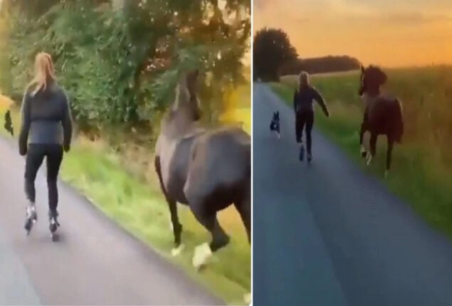 Viral video shows a woman skating with her dog and horse