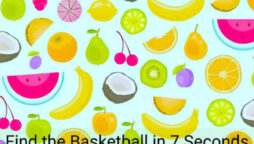 If you can find the basketball in 7 seconds, you’re a hawk!