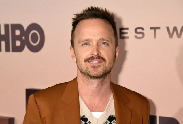Aaron Paul Legally Changes His Last Name