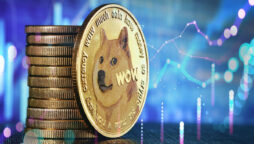 Doge Price