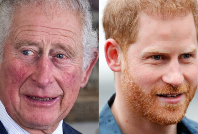 King Charles deeply distraught over change in his bond with Prince Harry
