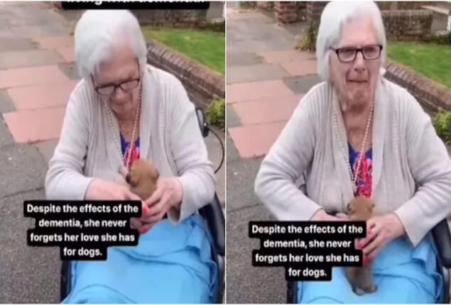 Viral: This older woman with dementia hasn’t forgotten that she loves dogs