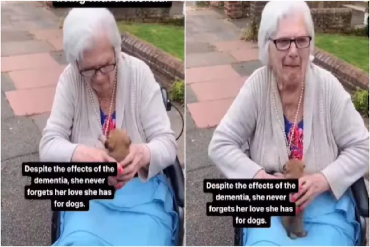 loves dogs