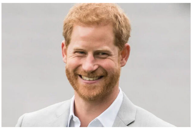 Prince Harry's attack on "privilege" will "backfire"