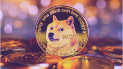 Doge Price