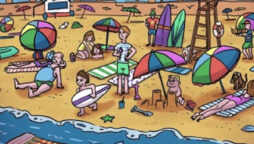 Optical Illusion: Can you spot the hidden ball in 7 seconds?