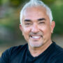 Cesar Millan’s Formula for Success for Dog Owners