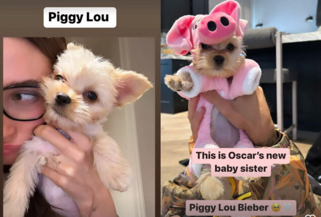 Justin Bieber and Hailey Baldwin Bieber are proud parents of a new puppy