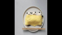 Artist makes cute panda with rice and eggs. Watch