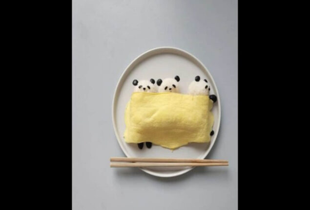 Artist makes cute panda with rice and eggs. Watch