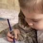 “What A Patient Kitty” Girl Teaches Her Pet Cat to Colour: Video