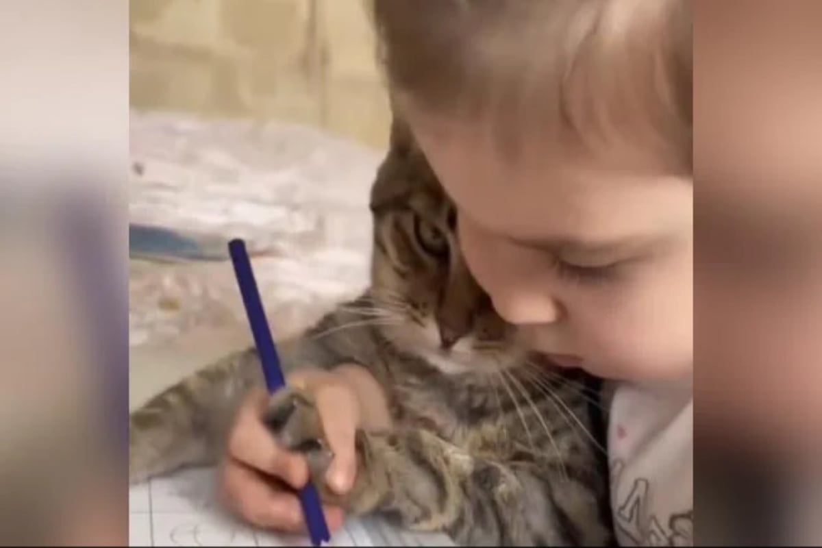 Girl Teaches Her Pet Cat
