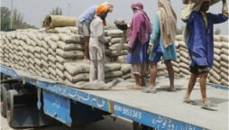 Cement dispatches decline  by 18.46 percent during October 2022