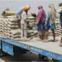 Cement dispatches decline  by 18.46 percent during October 2022