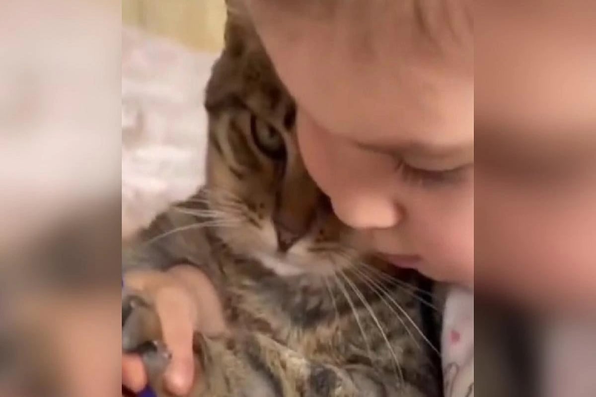 Little girl teaches cat
