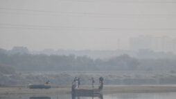 Delhi's air "crime against humanity" prompts school closures
