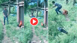 Viral Video: After Rooster Gets Angry, Man Runs Like a Chicken