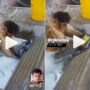 Viral Video: Monkey washes clothes with brush and soap