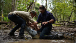 Crocodile Dundee trains 3-year-old kid to wrestle 20 ft monsters