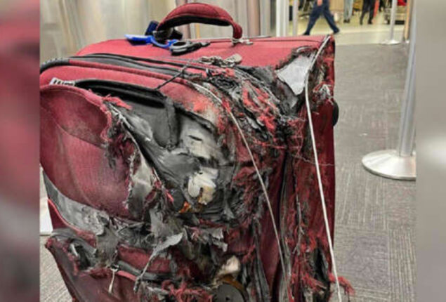 Reddit user posts damaged suitcase on conveyor belt. Netizens ask