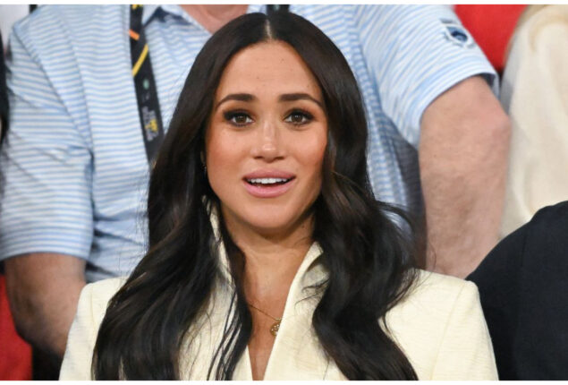 Meghan Markle never chose to join the Royal Family to “learn the ropes”