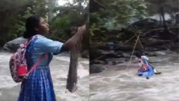 Watch: Girl ziplining over river to school becomes famous