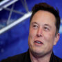 Elon Musk calls himself a alien and netizens respond in memes