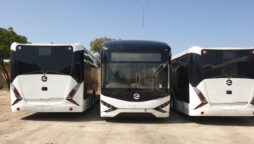 Test drive of electric buses will begin from tomorrow: Sharjeel Memon