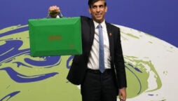 Rishi Sunak promotes global renewable energy progress