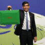 Rishi Sunak promotes global renewable energy progress