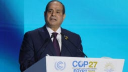 The Egypt’s president demands to end to the war in Ukraine, at major climate conference