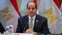 Egypt's president demands a ceasefire in Ukraine