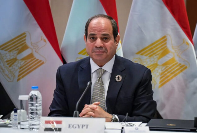 Egypt’s president demands a ceasefire in Ukraine