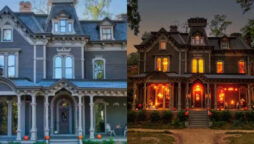Creel house from “Stranger Things” sells for Rs 12 crore: Pictures