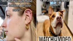 Woman tattoo homage to deceased pet dog has people crying