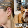 Woman tattoo homage to deceased pet dog has people crying
